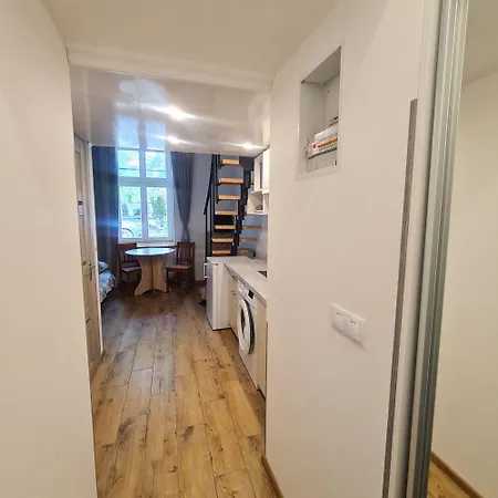 Smart нечуя-левицького 16-5 Lviv