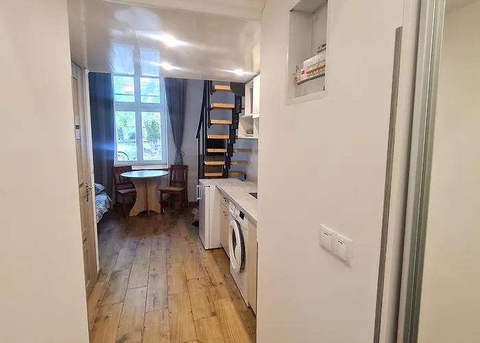 Smart нечуя-левицького 16-5 Lviv